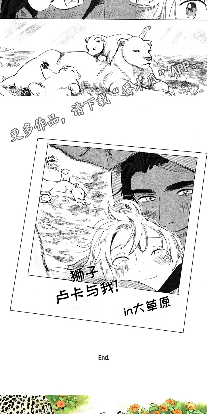 草原雄狮漫画,第16话1图