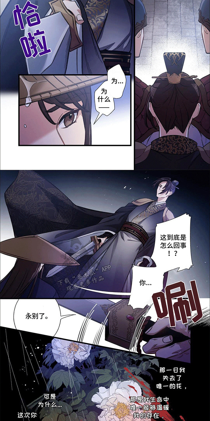 刺客皇后是什么电视剧漫画,第1话2图