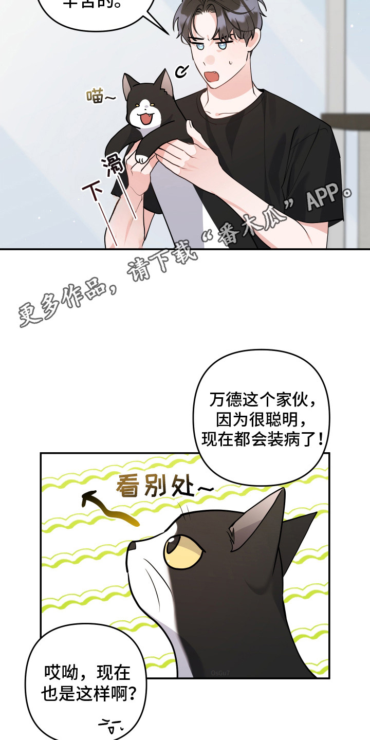 喵了个咪直播间漫画,第5话1图