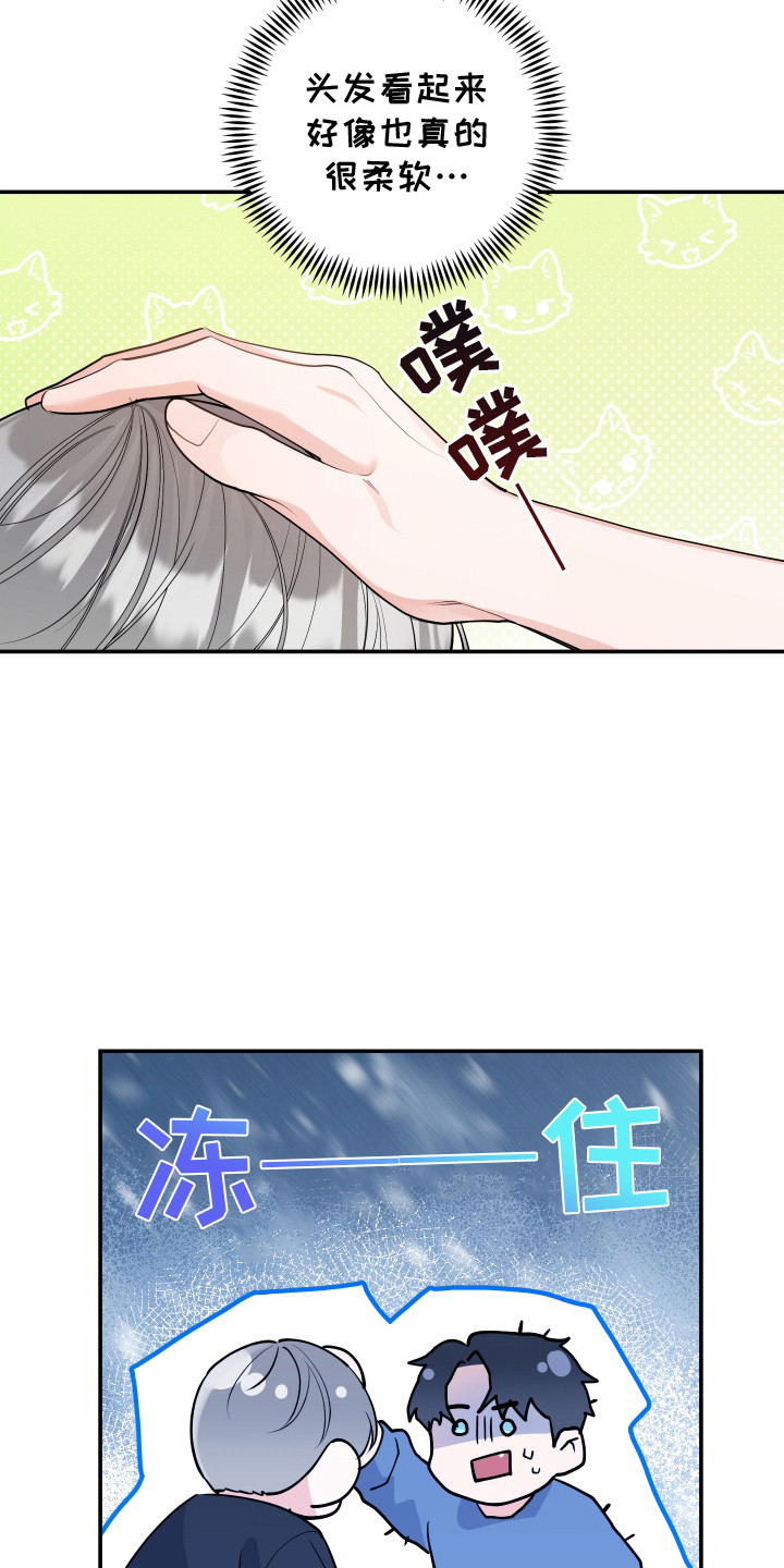 喵了个咪漫画,第3话1图