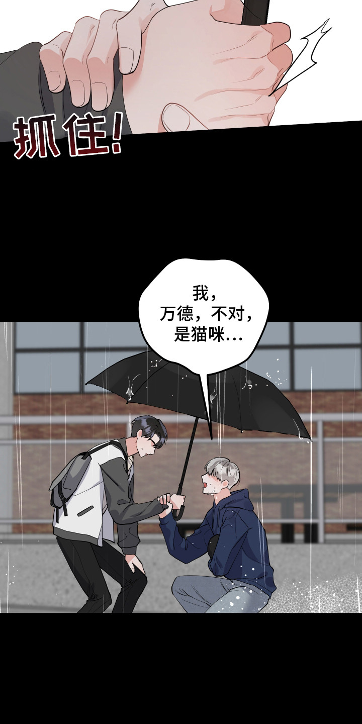 喵了个咪漫画,第5话1图