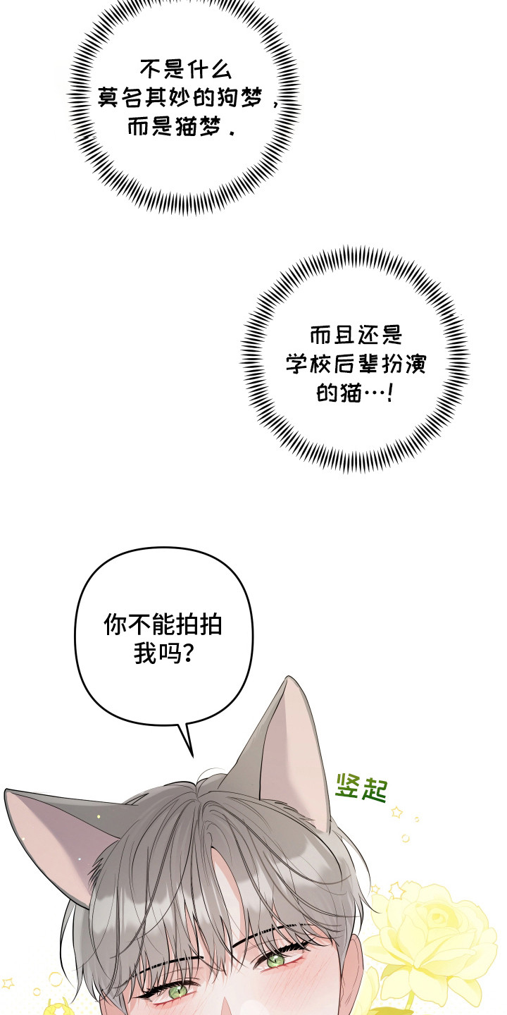 喵了个咪漫画,第1话1图