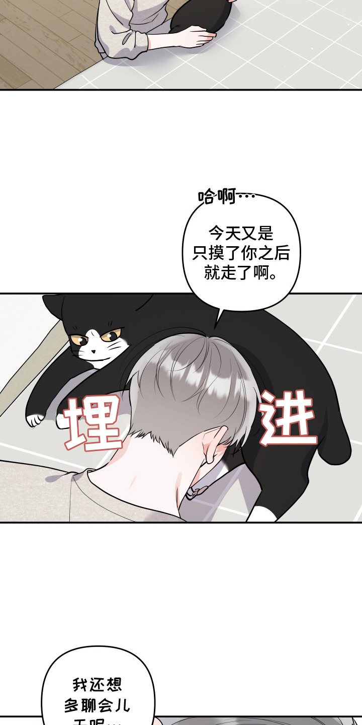 喵了个咪啥意思漫画,第5话1图