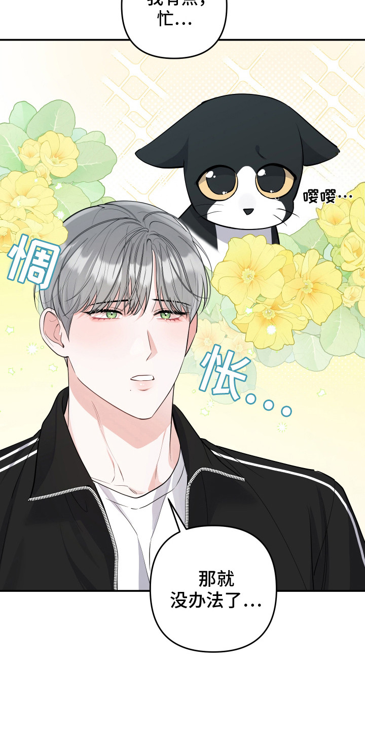 喵了个咪的什么意思漫画,第2话1图