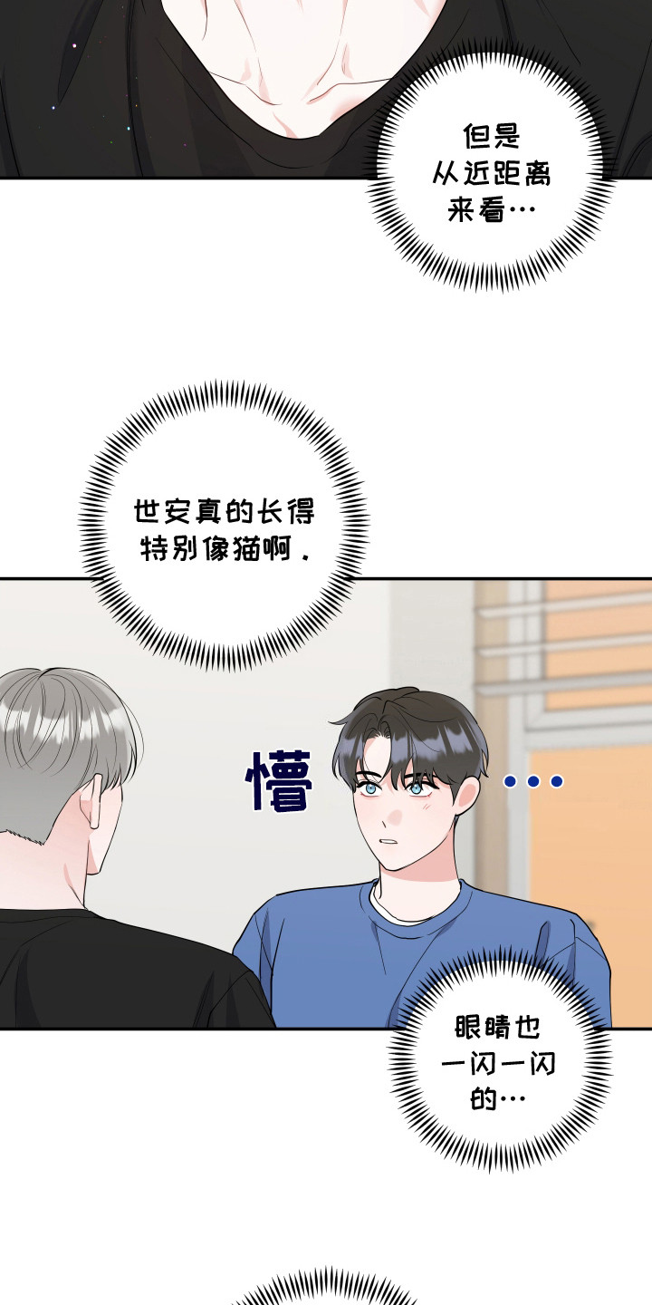 喵了个咪公园漫画,第3话2图