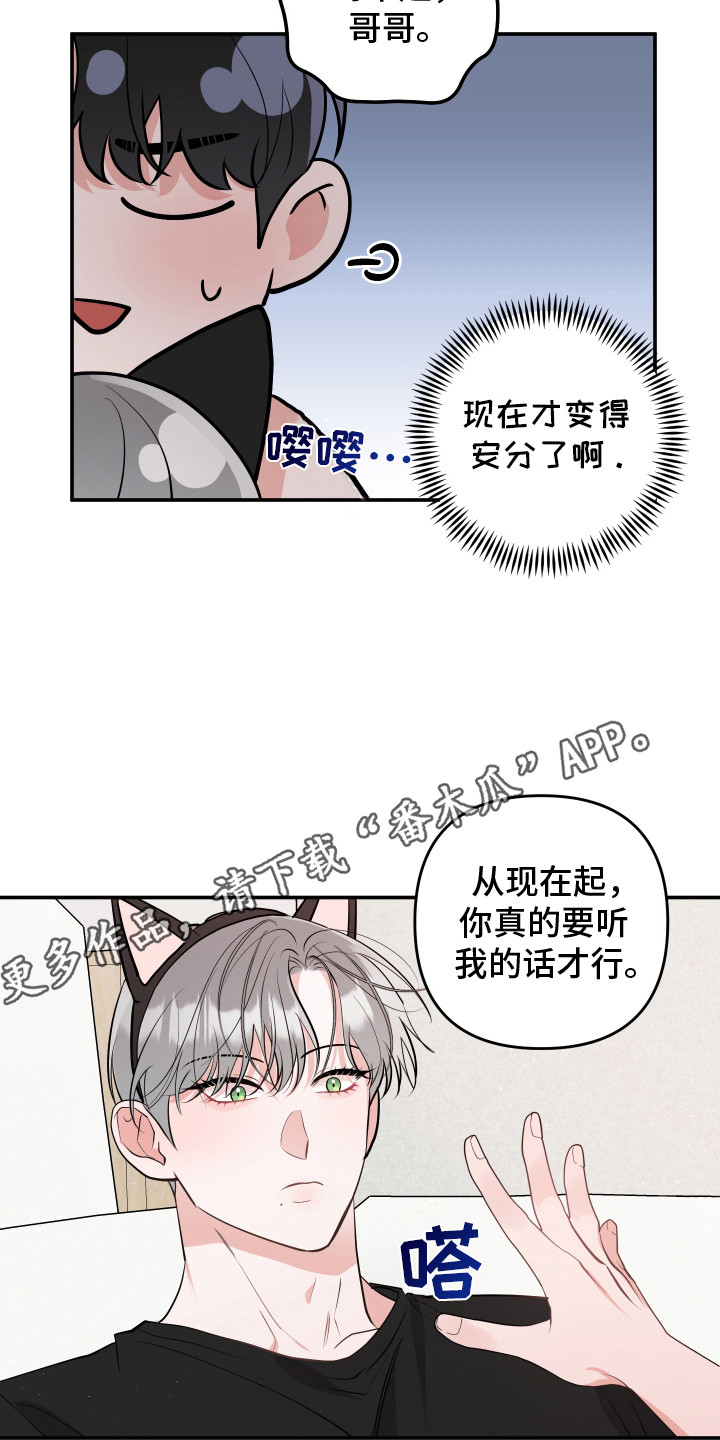 喵了个咪是骂人的吗漫画,第13话1图