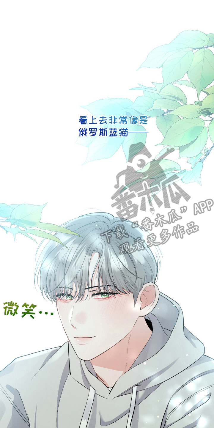 喵了个咪漫画,第3话2图