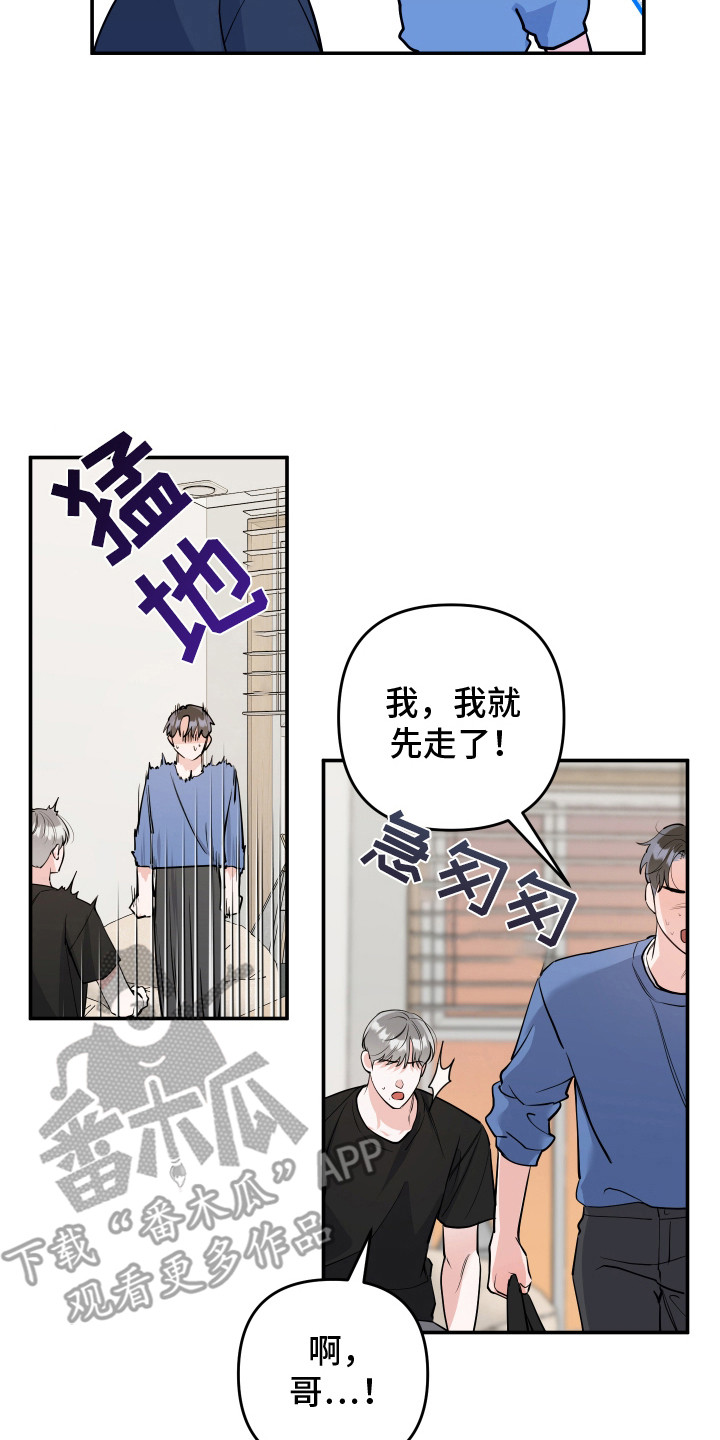 喵了个咪漫画,第3话2图