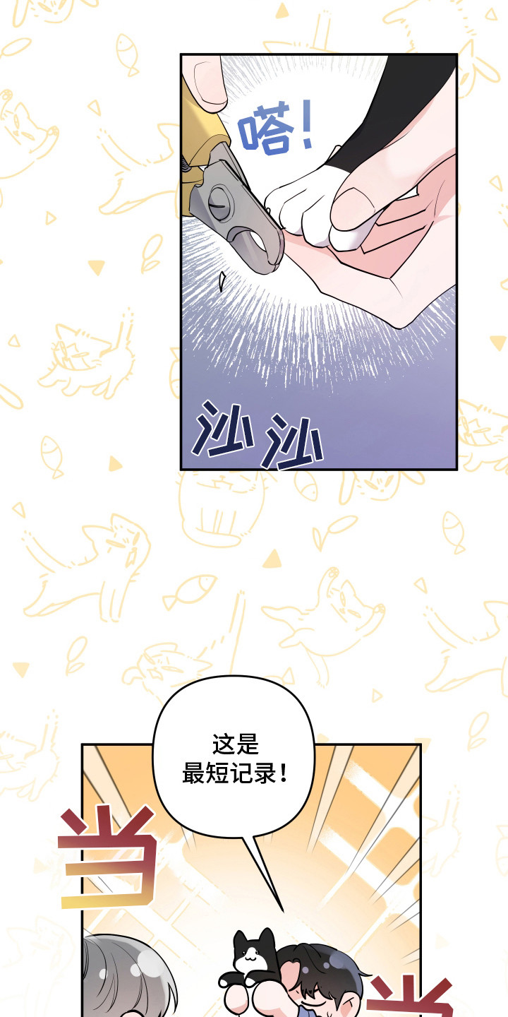 喵了个咪公园漫画,第3话1图