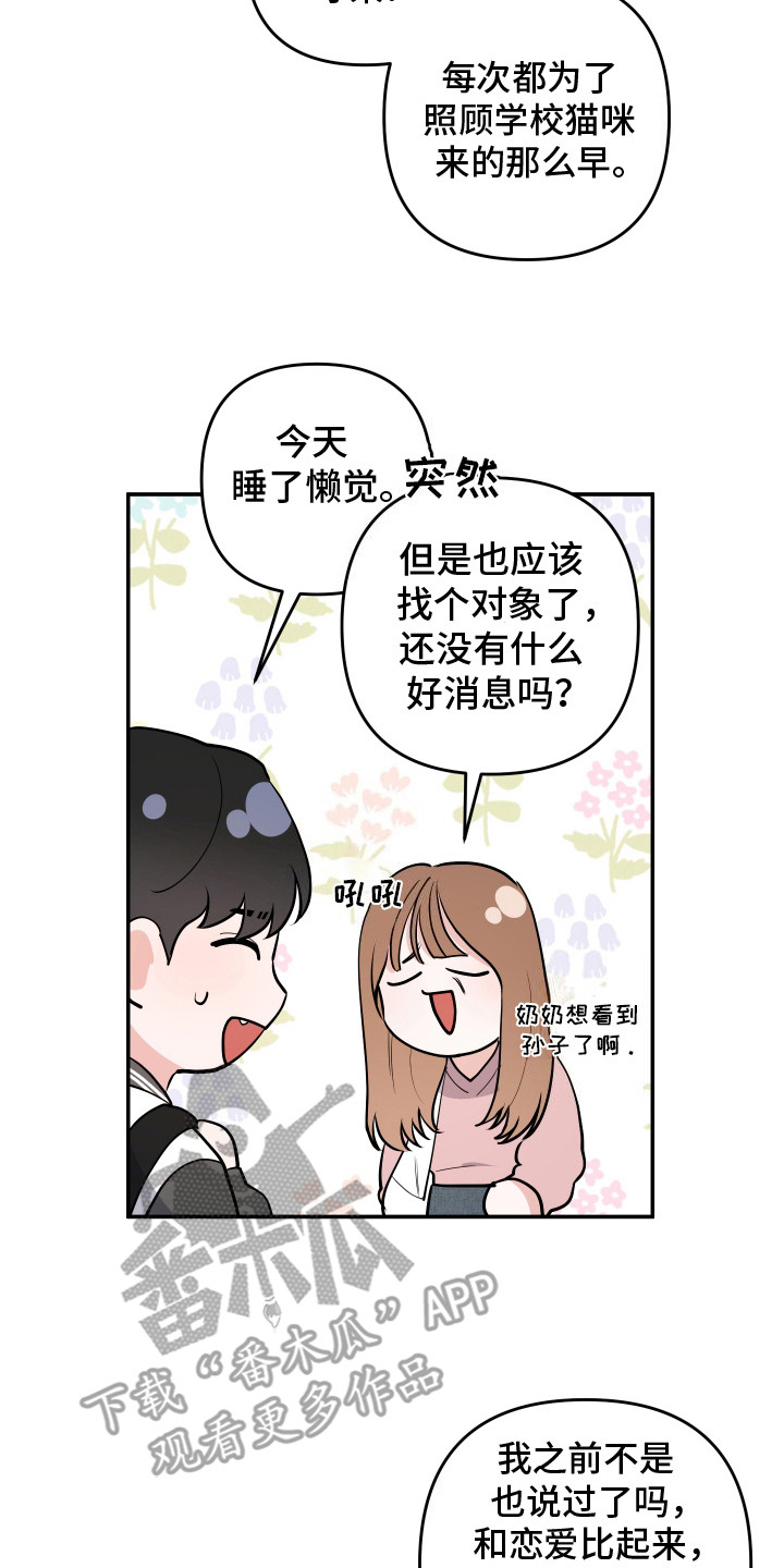 喵了个咪漫画,第1话1图