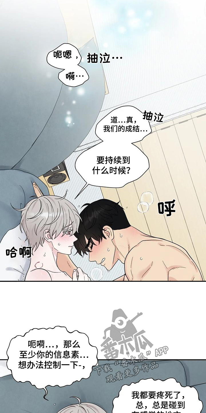 缘分注定漫画,第85话1图