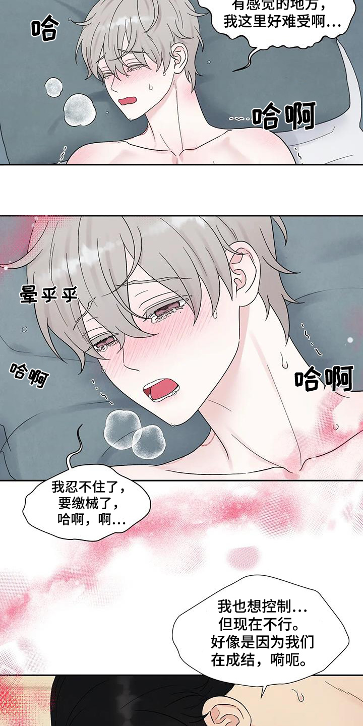 缘分注定漫画,第85话2图