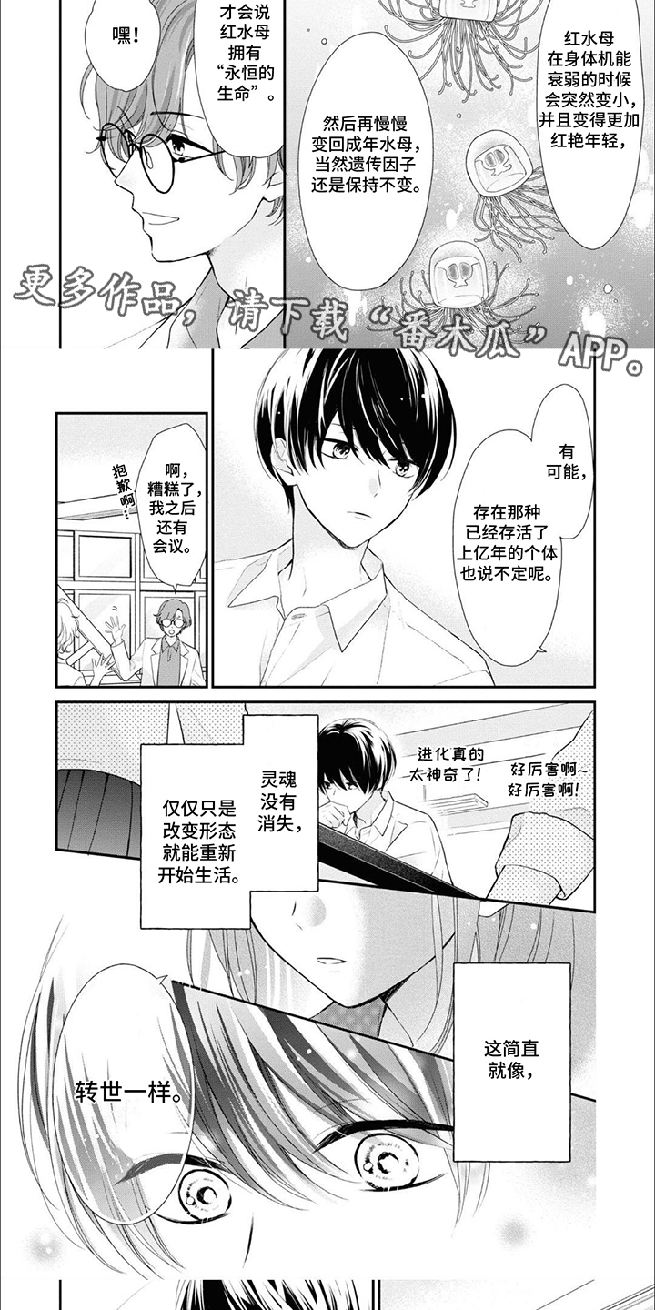 人鱼公主的特征漫画,第9话1图