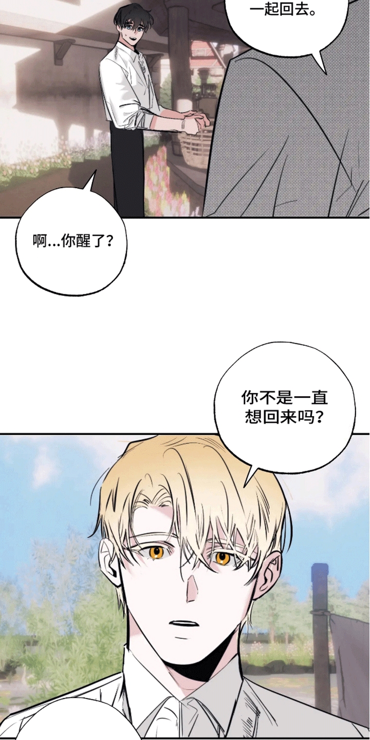 坏苹果做养花的肥料怎么做漫画,第53话2图