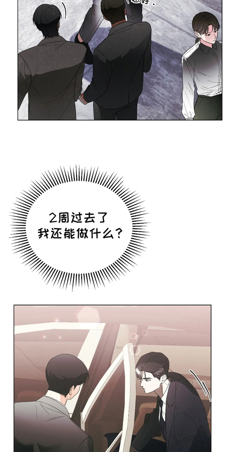 坏苹果做养花的肥料怎么做漫画,第29话2图