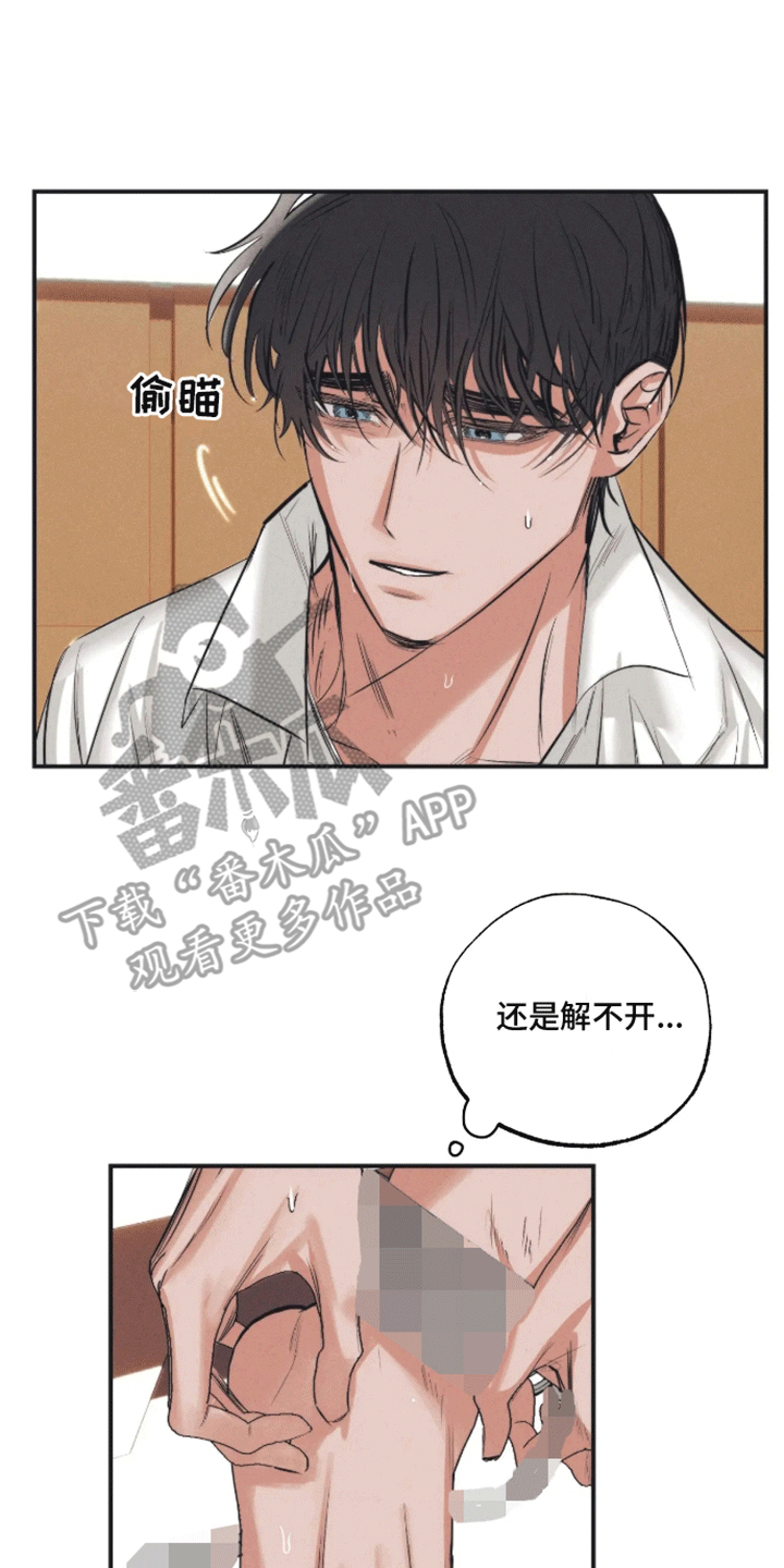 坏苹果切掉还能吃吗漫画,第47话1图