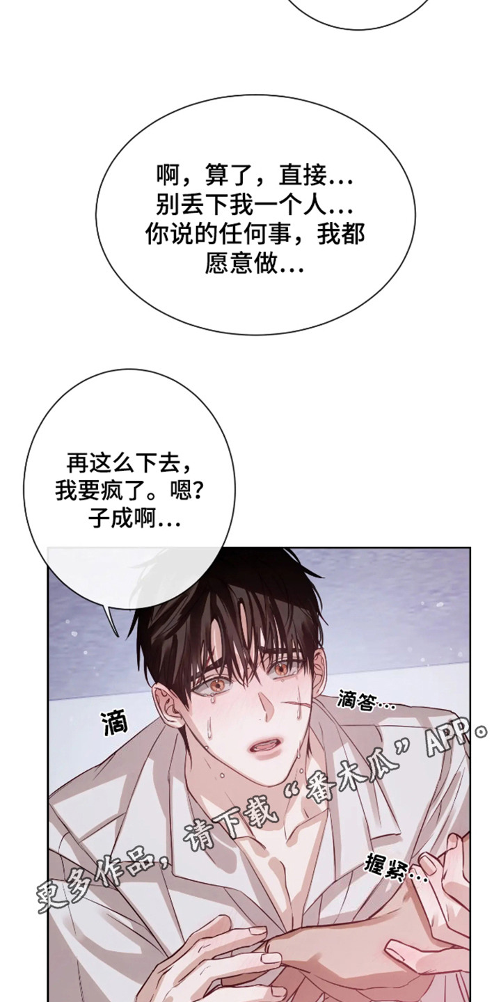 坏苹果做养花的肥料怎么做漫画,第60话1图