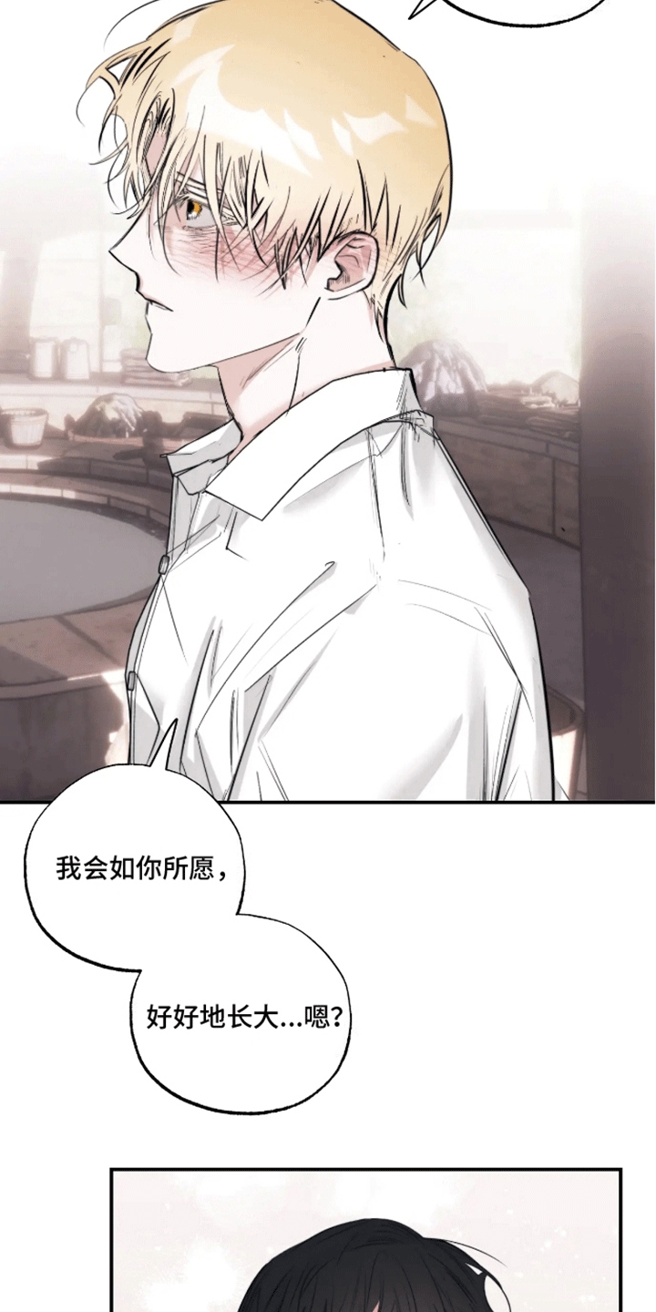 坏苹果做养花的肥料怎么做漫画,第53话1图