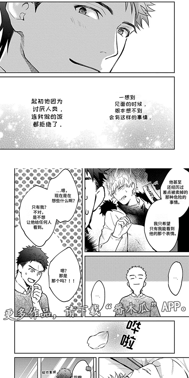 毛茸茸之梦怎么练漫画,第16话2图