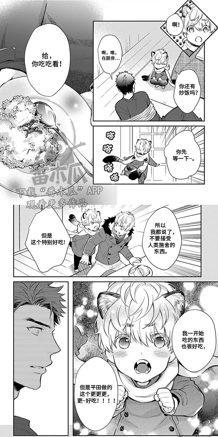 毛茸茸大全漫画,第2话1图