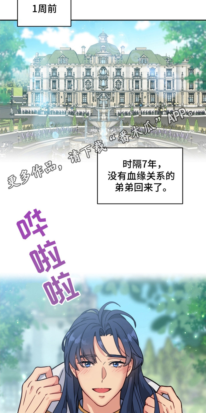 魔法物语系列盲盒发光效果漫画,第1话1图