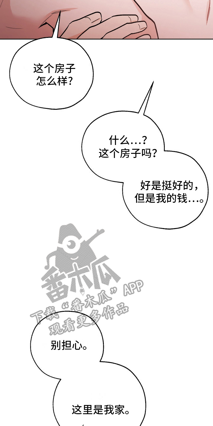 一室公寓怎么养猫漫画,第17话2图