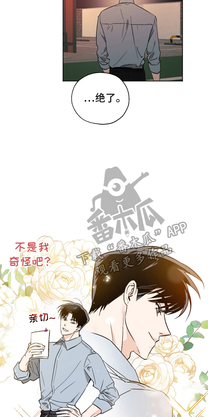 一室公寓怎么养猫漫画,第2话2图