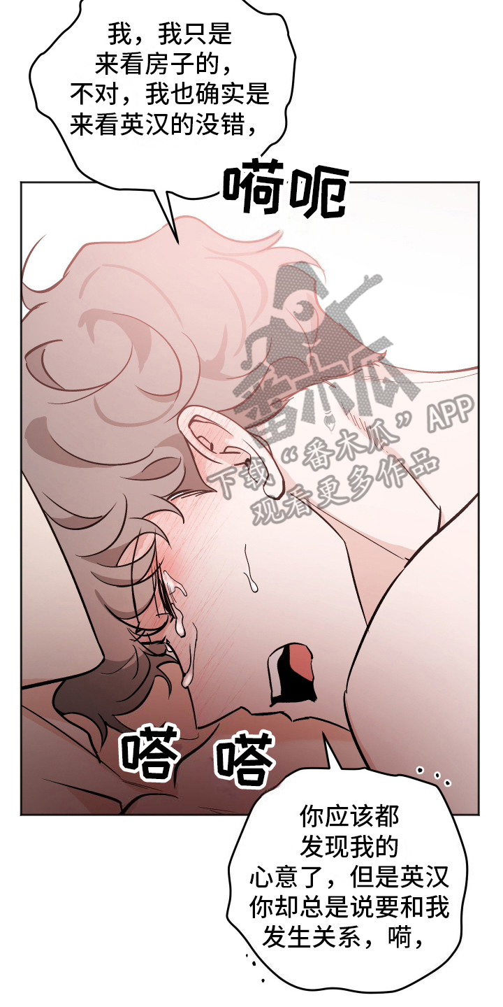 一室公寓怎么养猫漫画,第17话2图