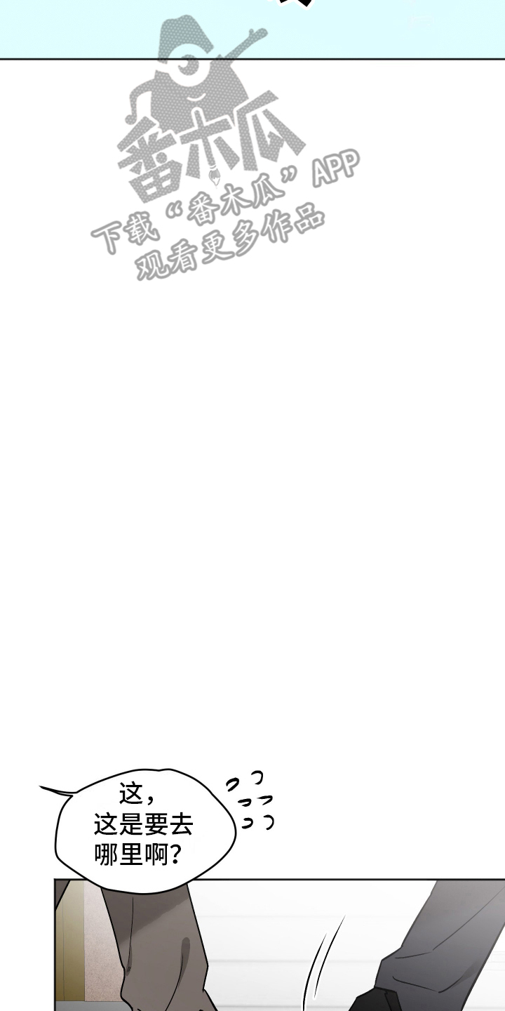 一室公寓怎么养猫漫画,第7话2图