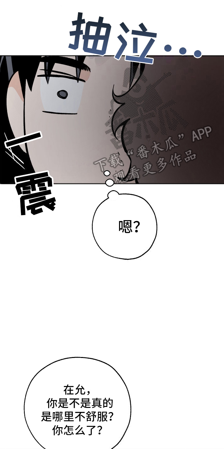 一室公寓怎么养猫漫画,第17话2图