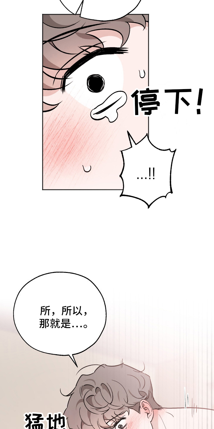 一室公寓怎么养猫漫画,第17话1图