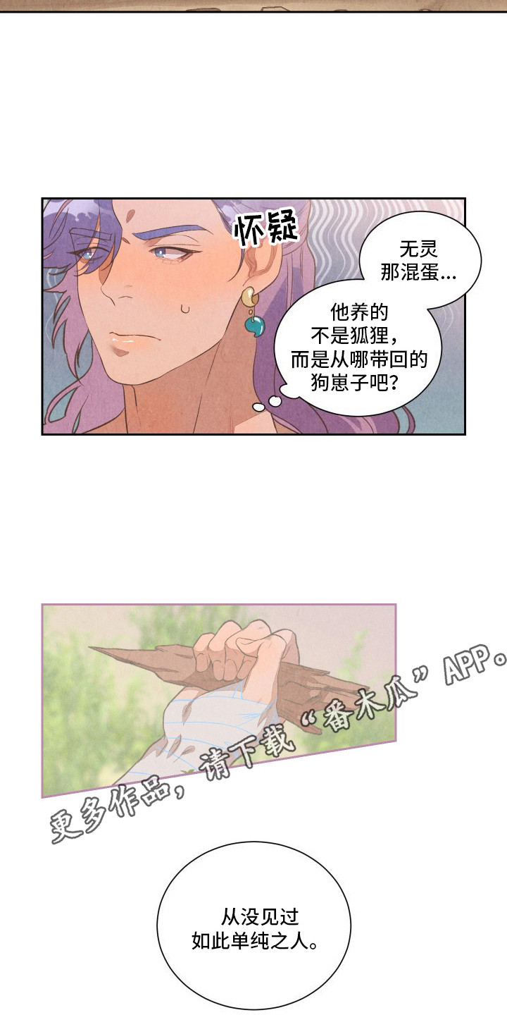 狐狸的夏天第一部免费观看漫画,第11话2图