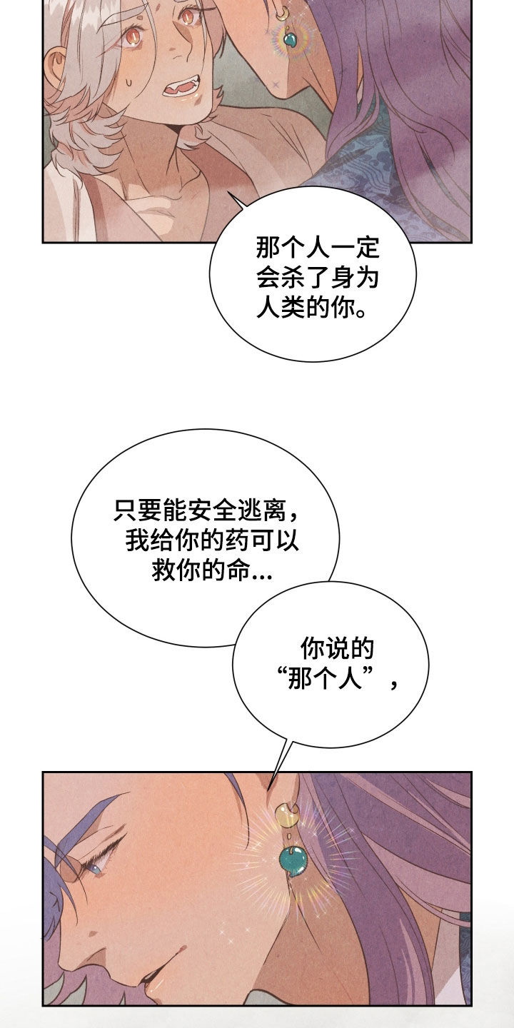 狐狸的夏天第一部免费观看漫画,第19话1图