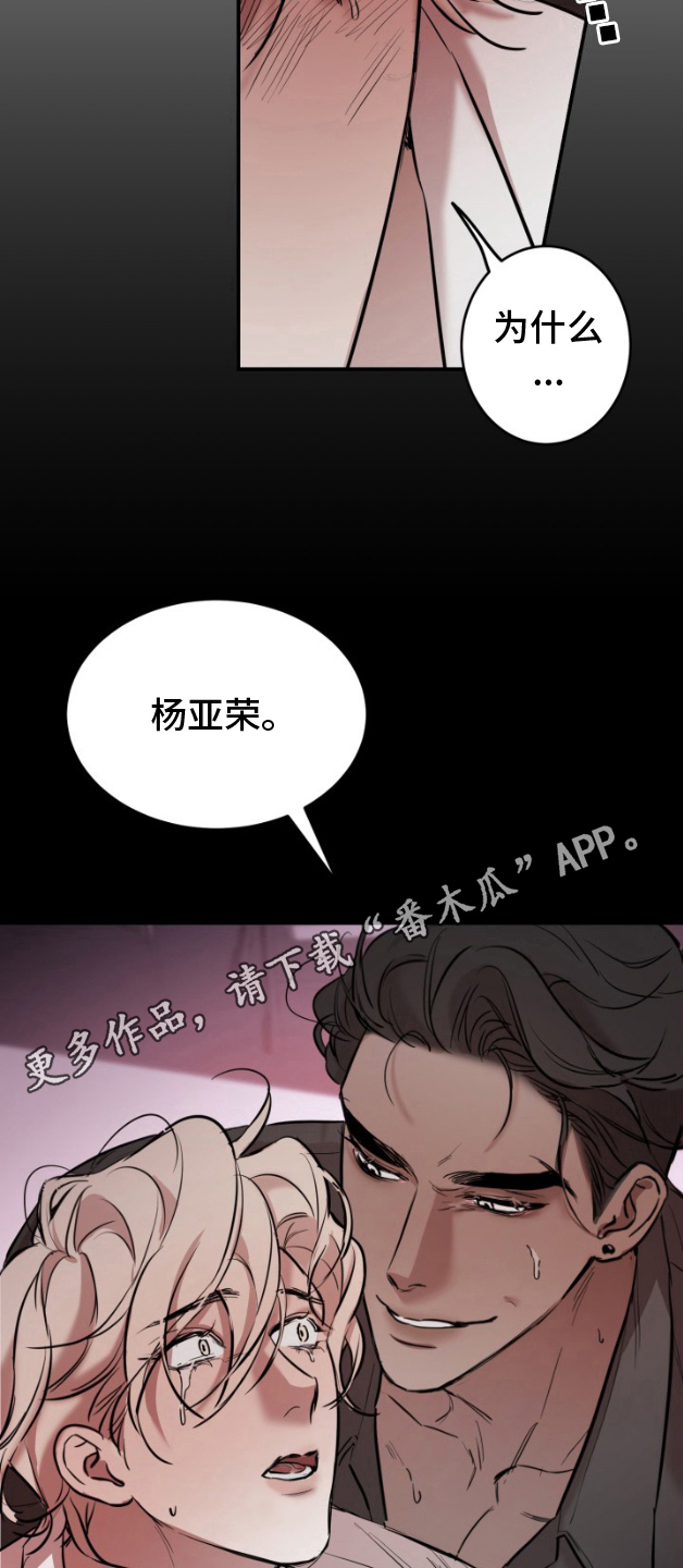 摄影迷你灯漫画,第8话1图