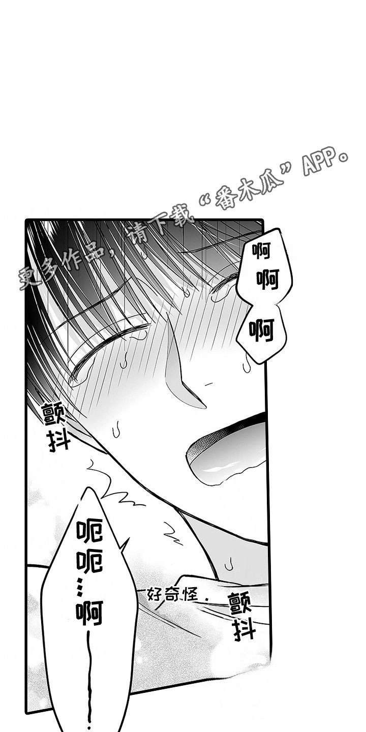 傲娇主母顾柳萧寒免费阅读漫画,第16话1图