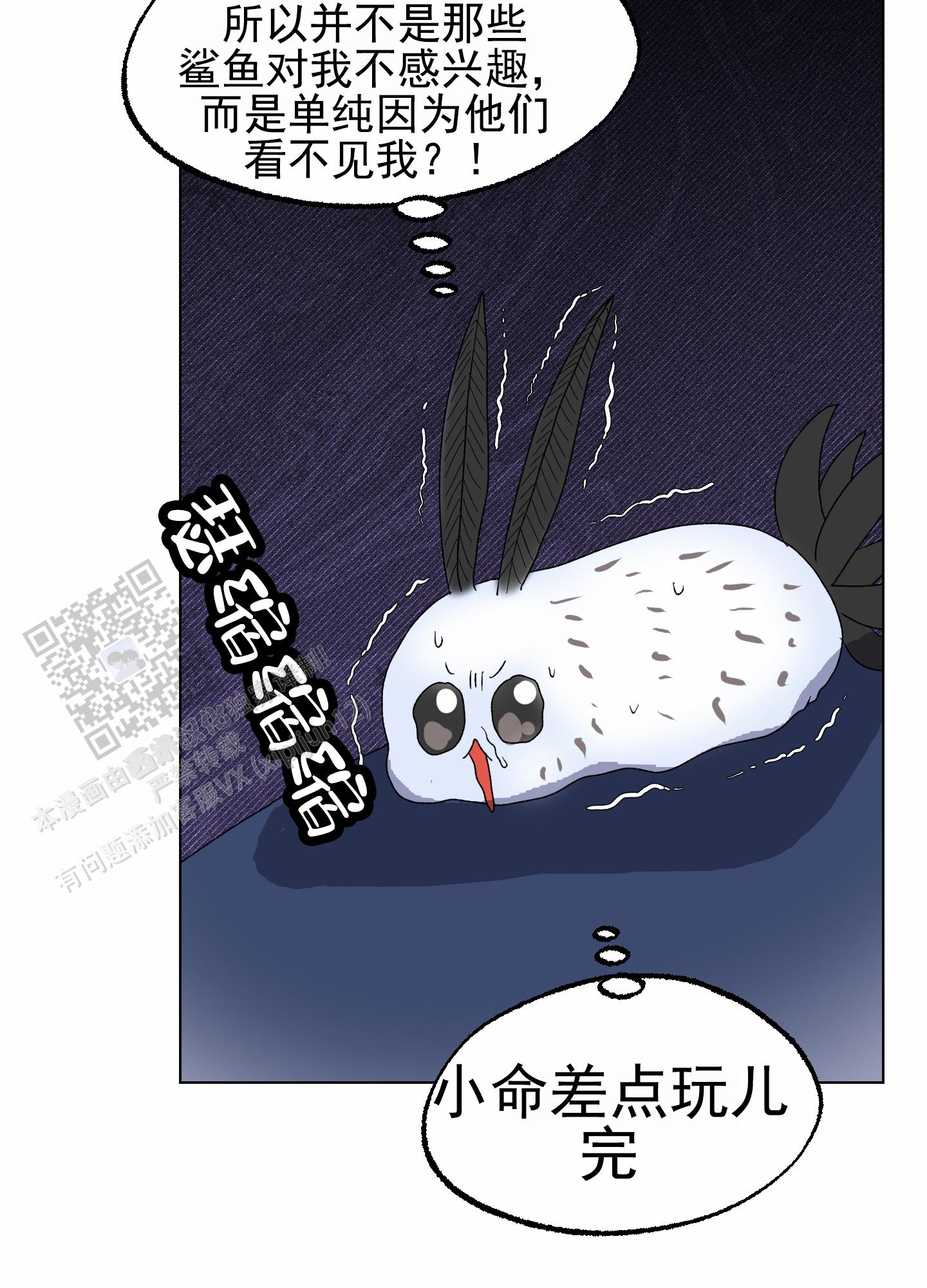 鲨鱼的新娘漫画,第18话1图