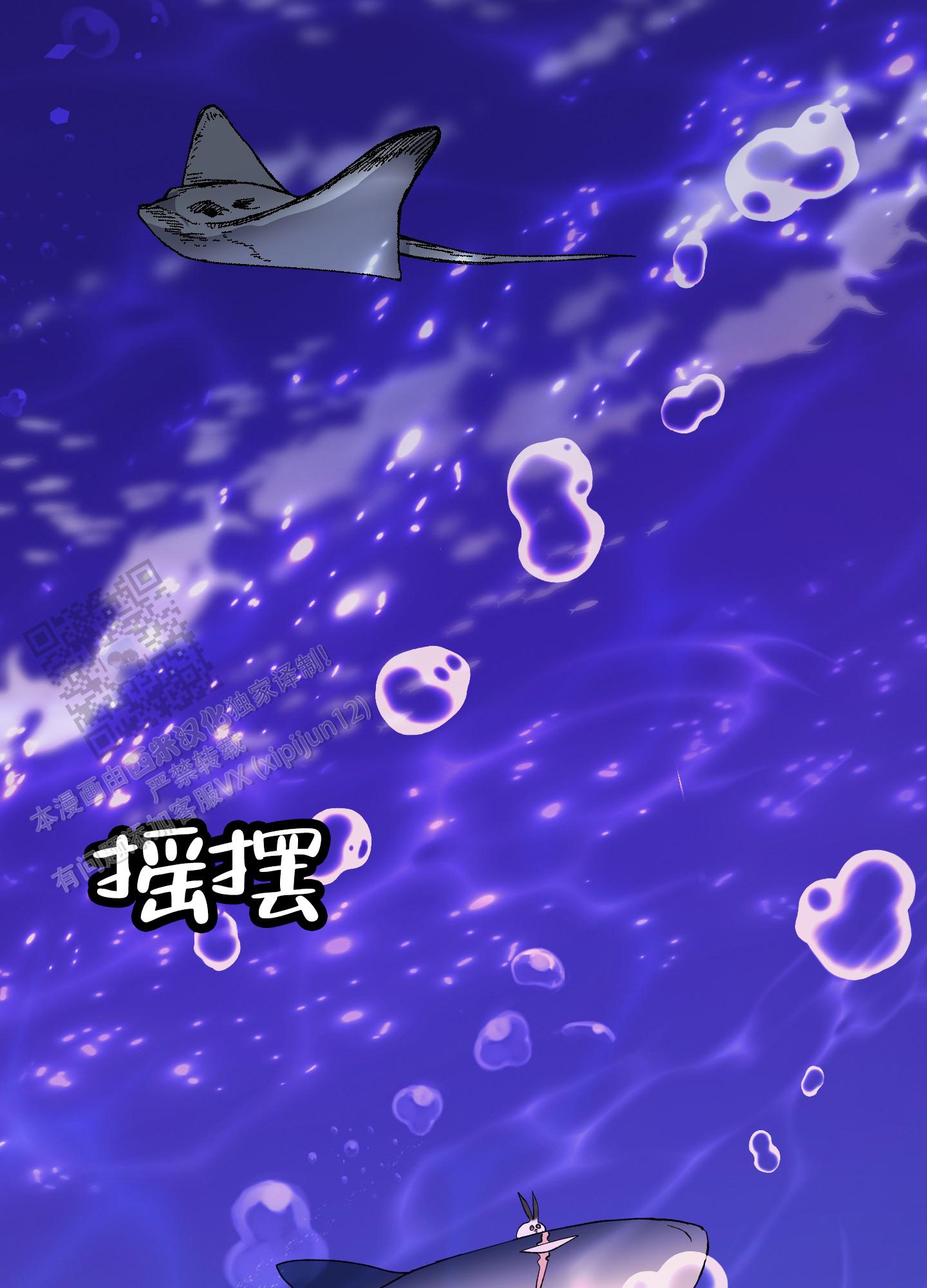 鲨鱼的作用和用途漫画,第27话1图