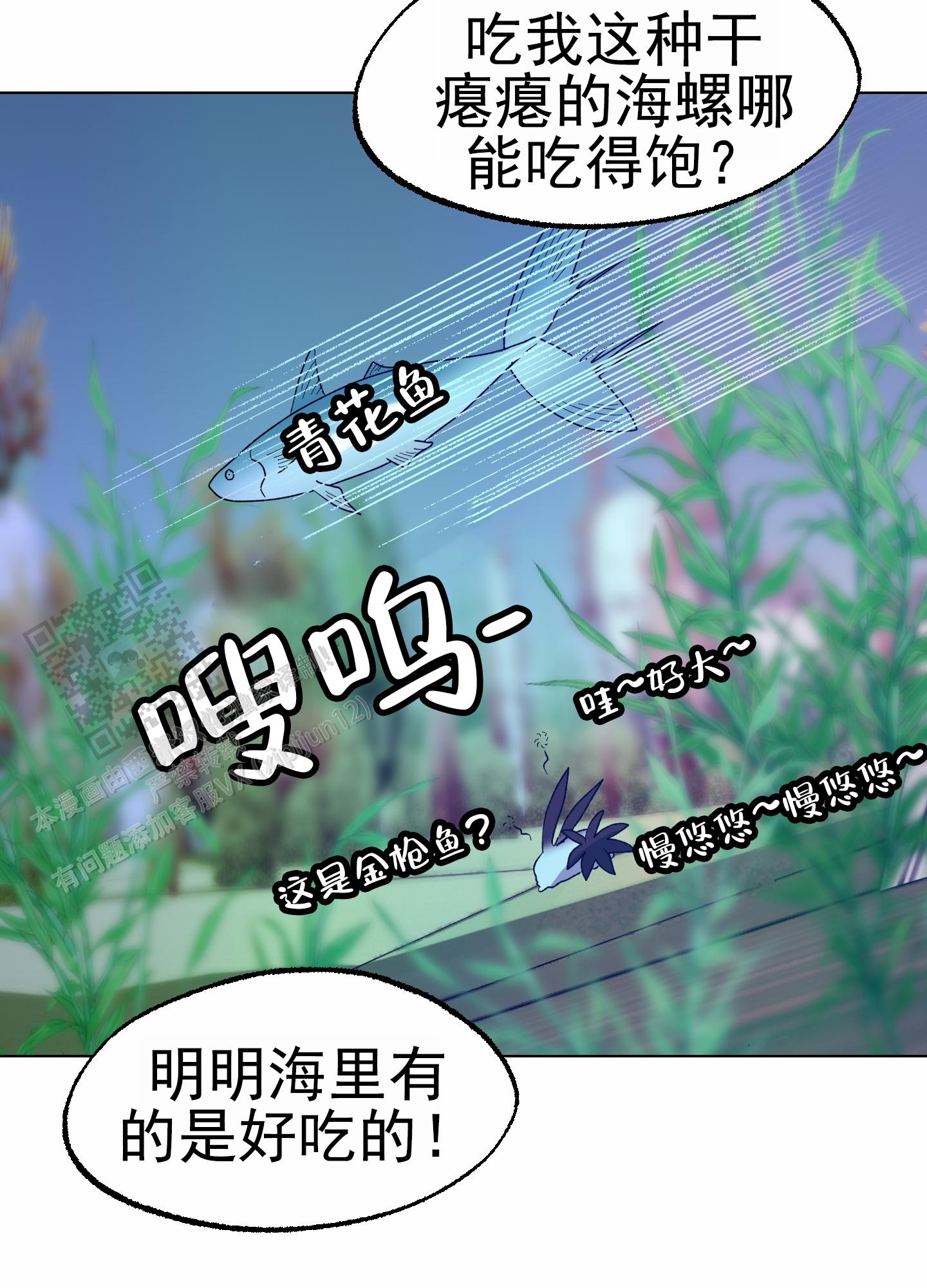 鲨鱼的新娘作者是谁漫画,第17话1图