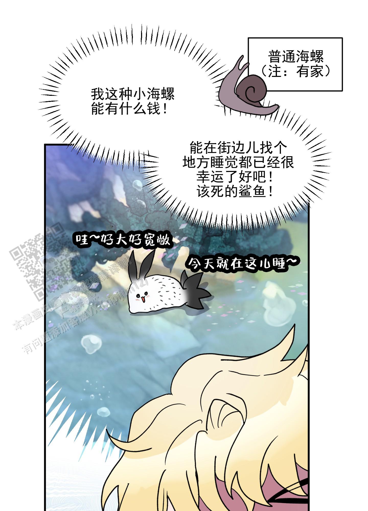 鲨鱼的新娘作者是谁漫画,第5话2图