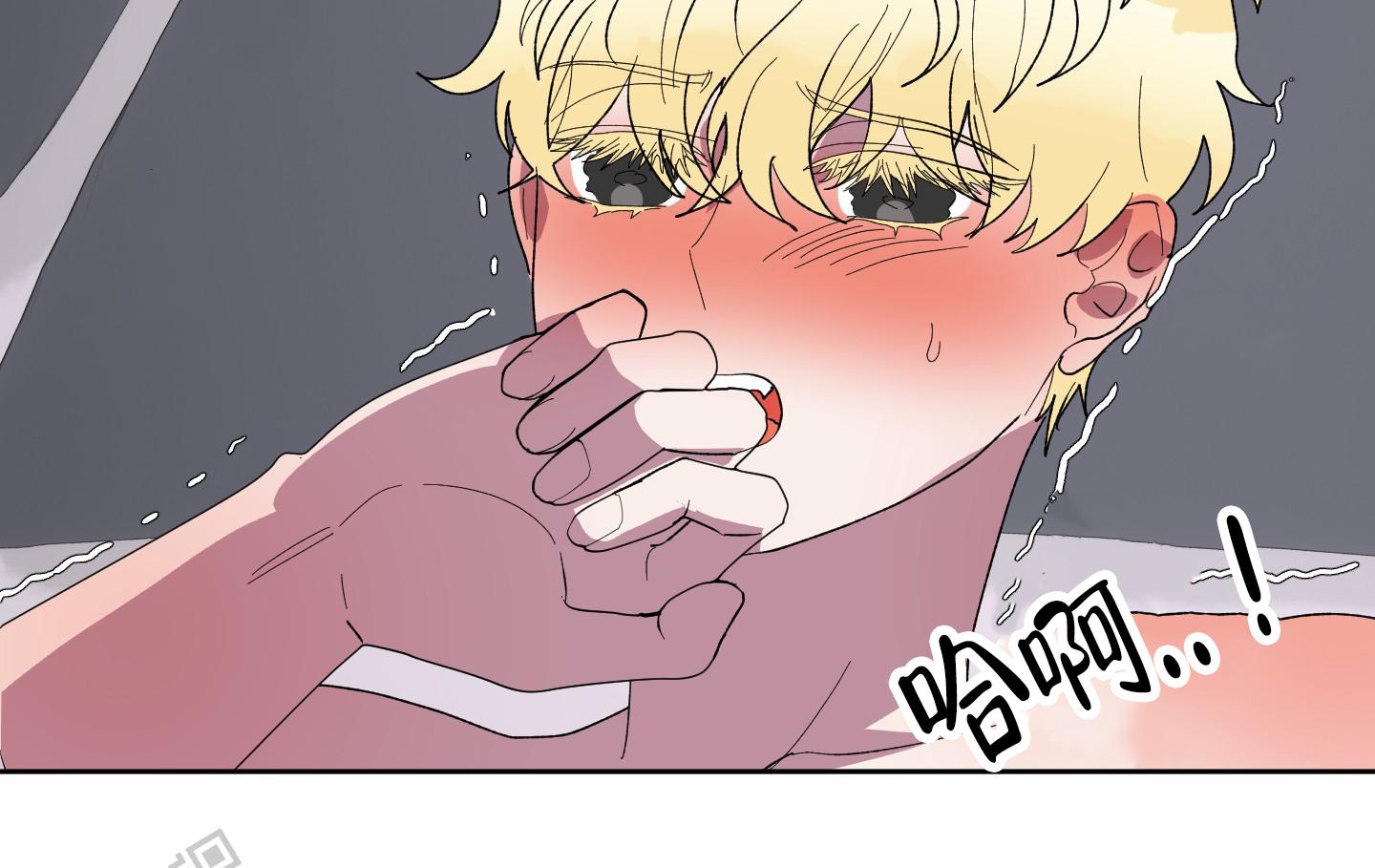 鲨鱼的作用和用途漫画,第25话2图