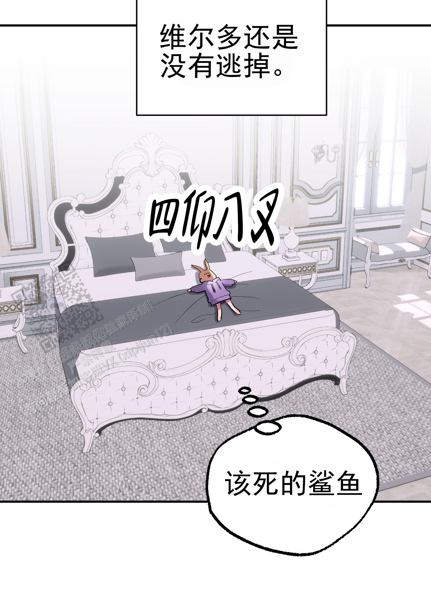 鲨鱼的作用和用途漫画,第9话1图
