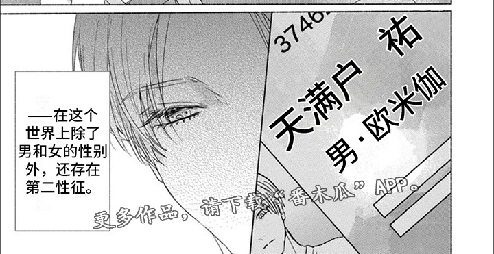 星尘的英文怎么写漫画,第1话1图