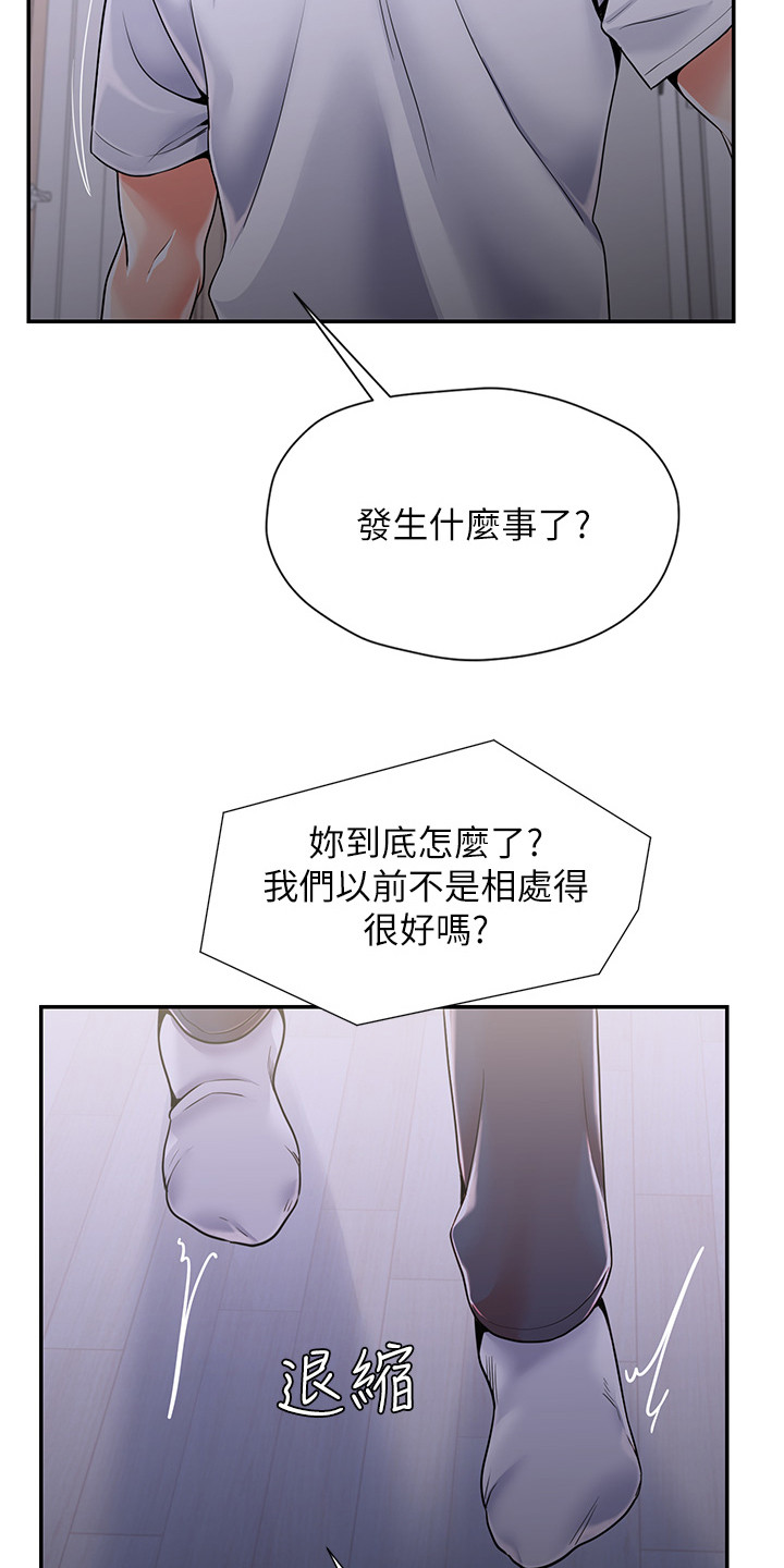 收留的猫怎么养护漫画,第3话2图