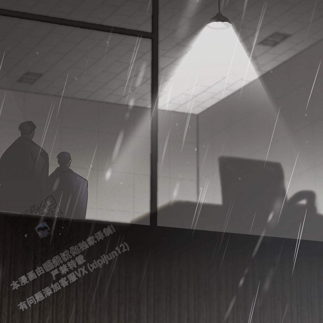 治愈者结局漫画,第17话1图