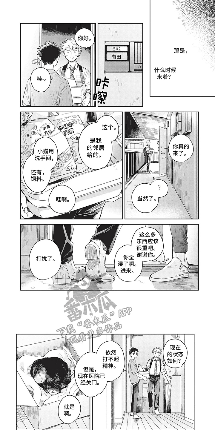 辛辣的生活漫画,第10话1图