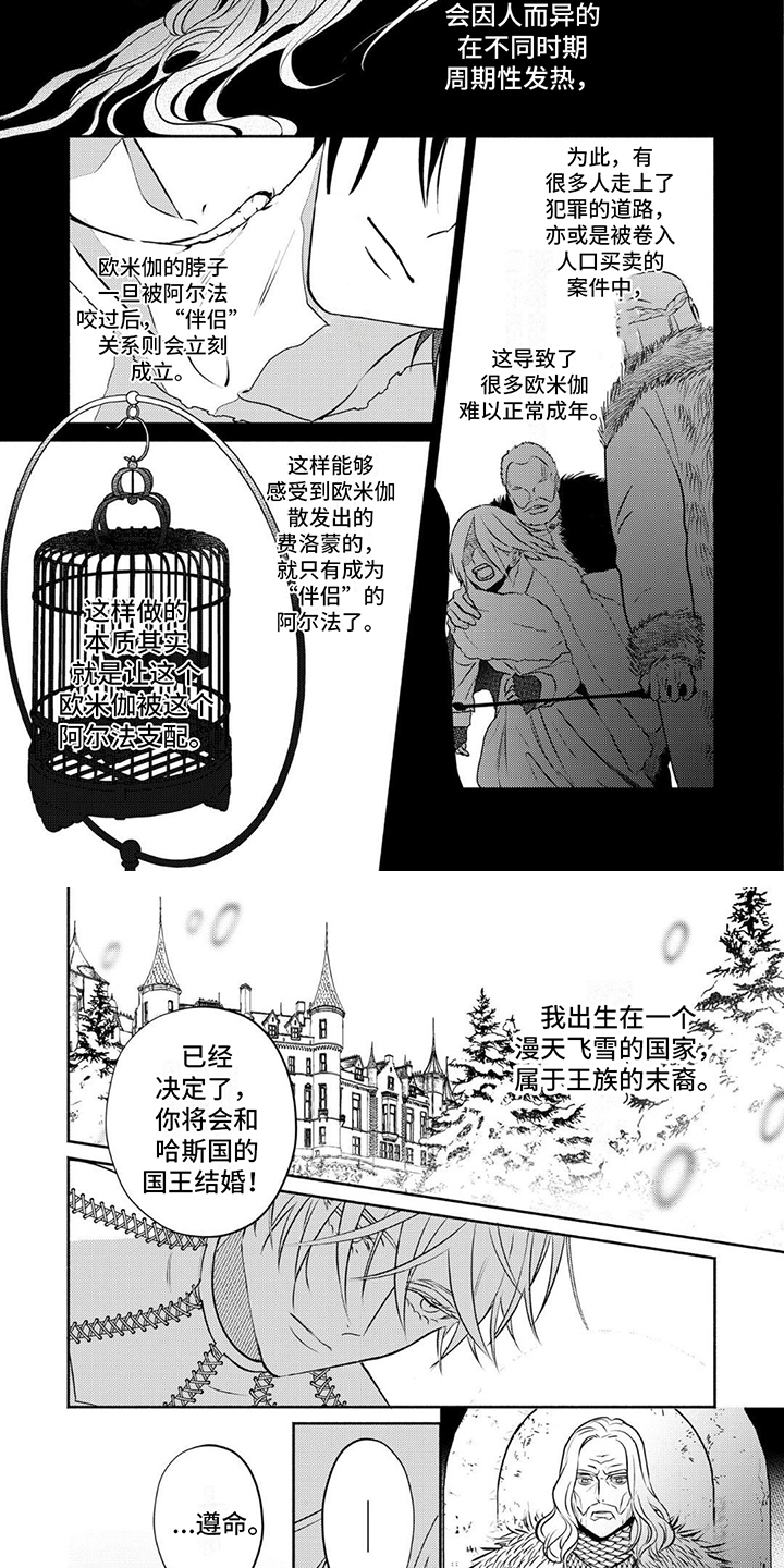 欧米伽6的功效漫画,第1话2图