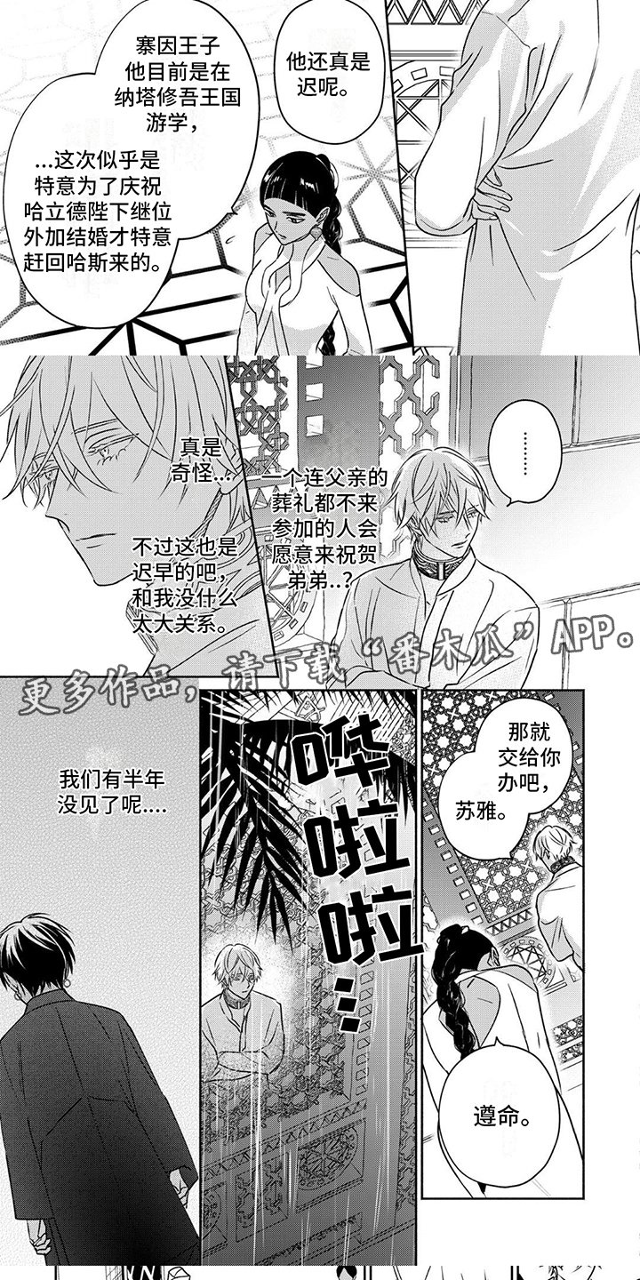 欧米伽王后漫画,第8话1图