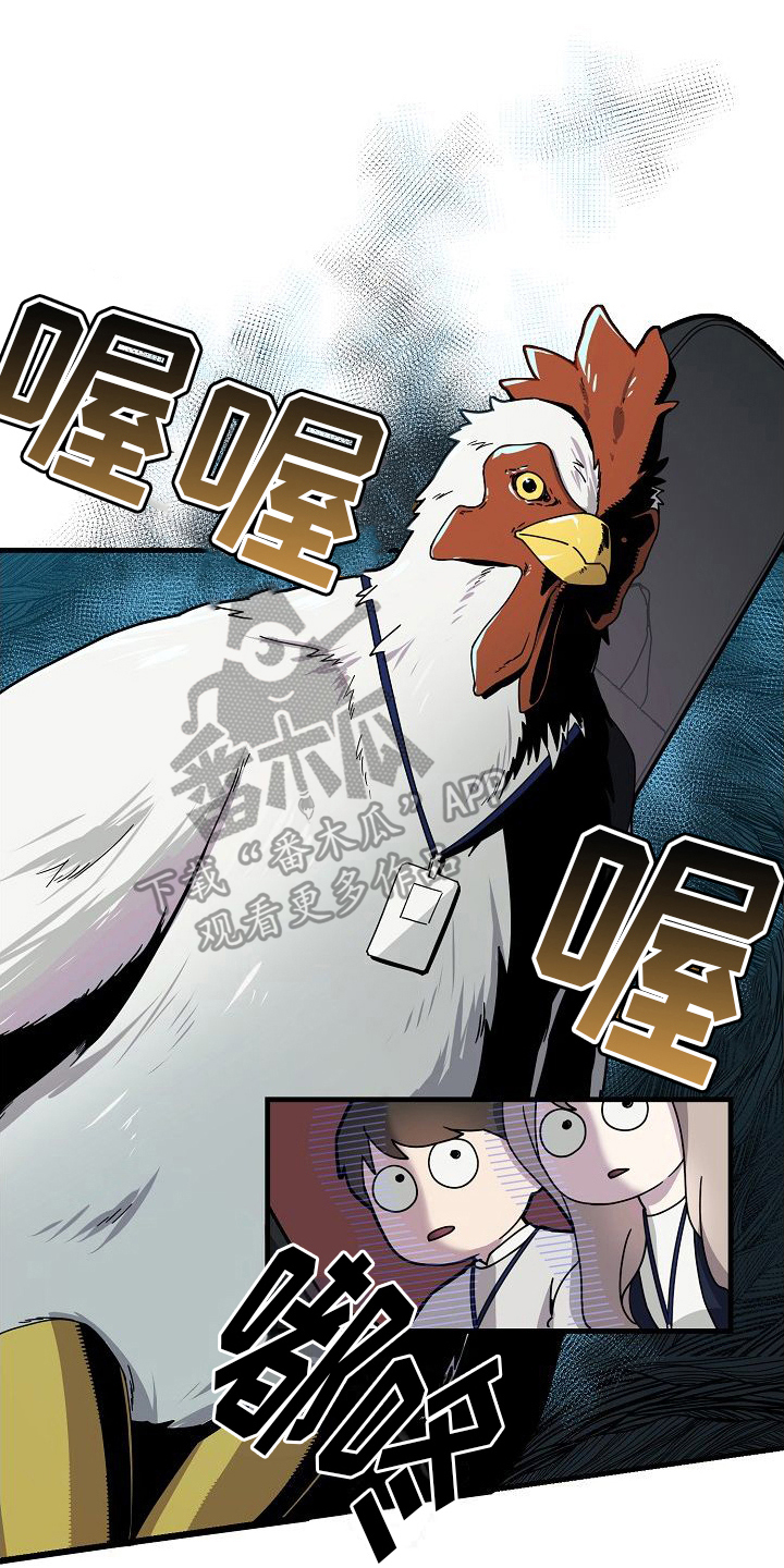 弹奏你我的爱漫画,第11话1图