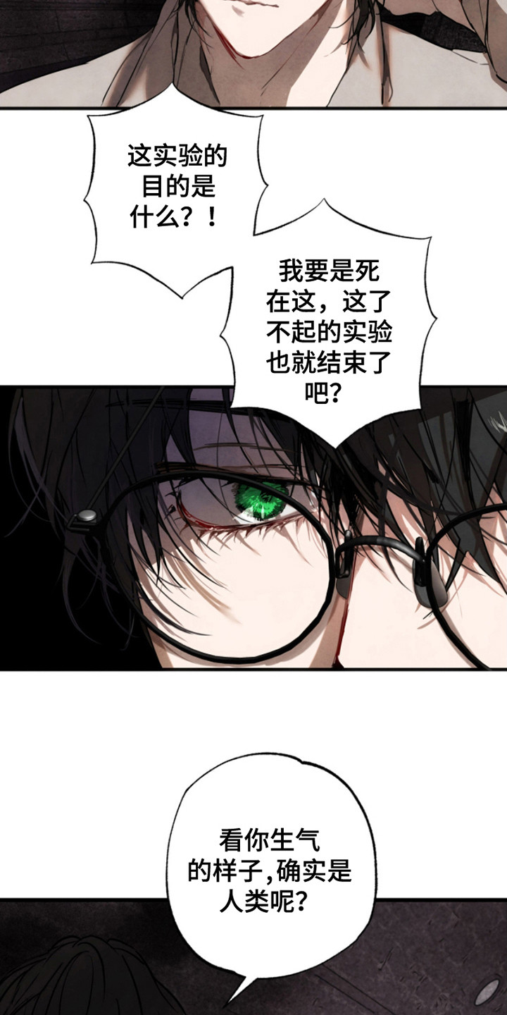 信徒圣痕漫画,第12话2图