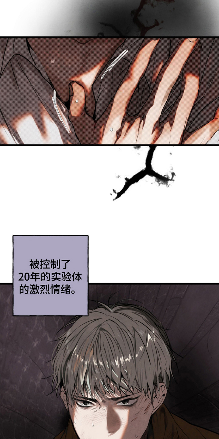 信徒圣痕漫画,第13话2图